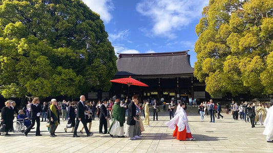 Shrines vs. Temples: Omamori Guide